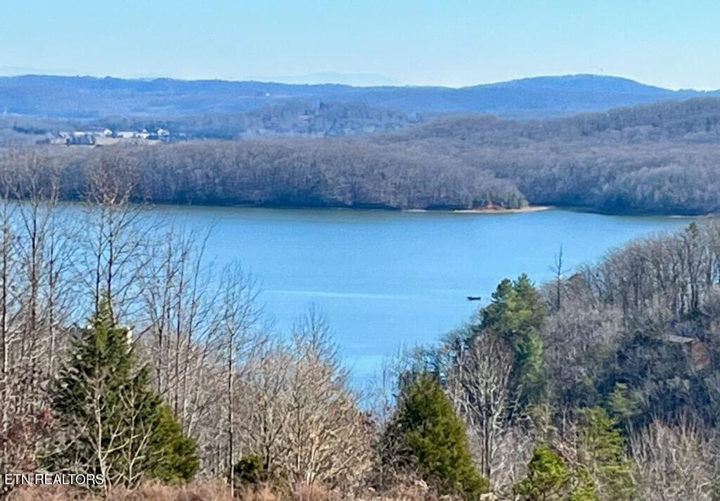 IMG_8741 - Lot 406 Flint Ridge Rd, Rockwood, TN 37854