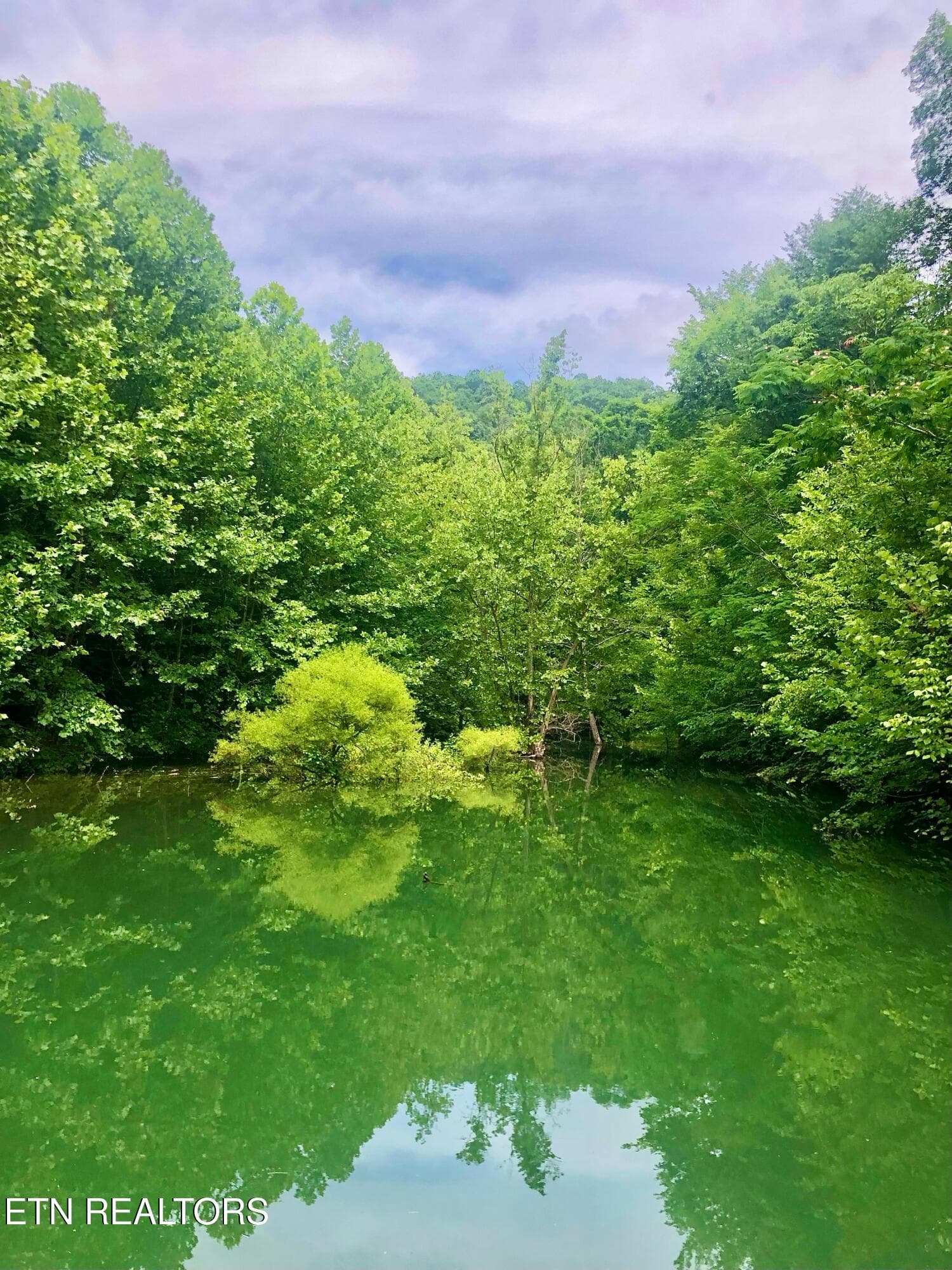 River Ridge Road Tract 1, Maynardville, TN 37807