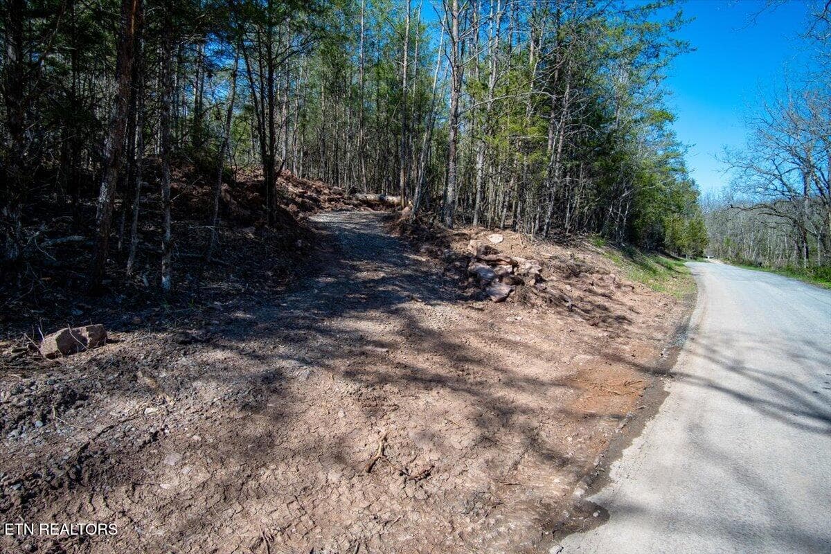 Driveway from road. - Wolfenbarger Tract 1, Luttrell, TN 37779