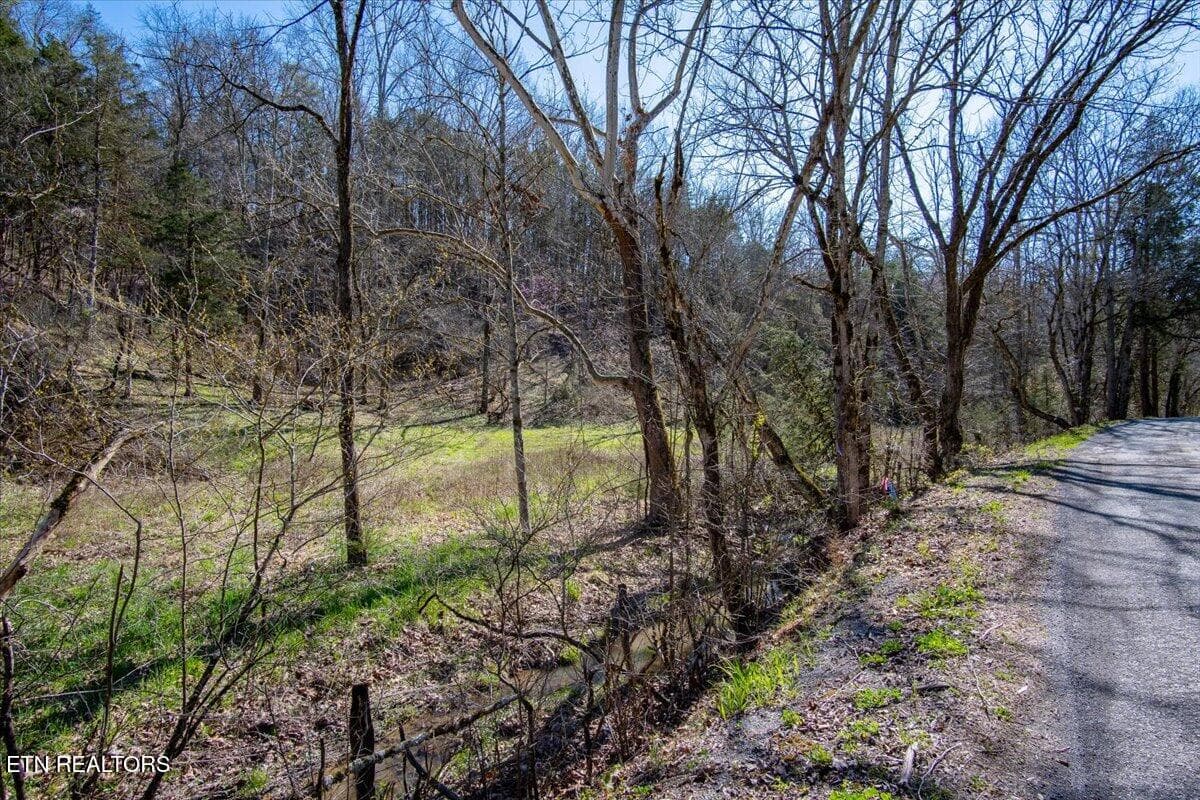 40-Property Line Opposite Roadside - Wolfenbarger Tract 1, Luttrell, TN 37779