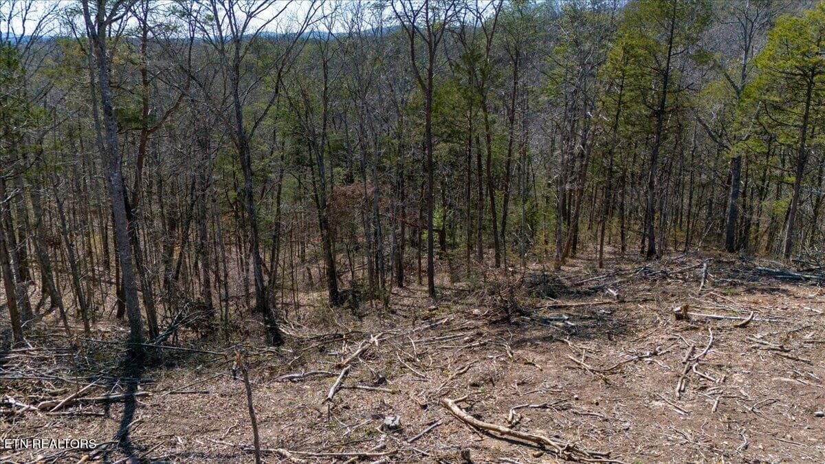 26-Clearing - Wolfenbarger Tract 1, Luttrell, TN 37779