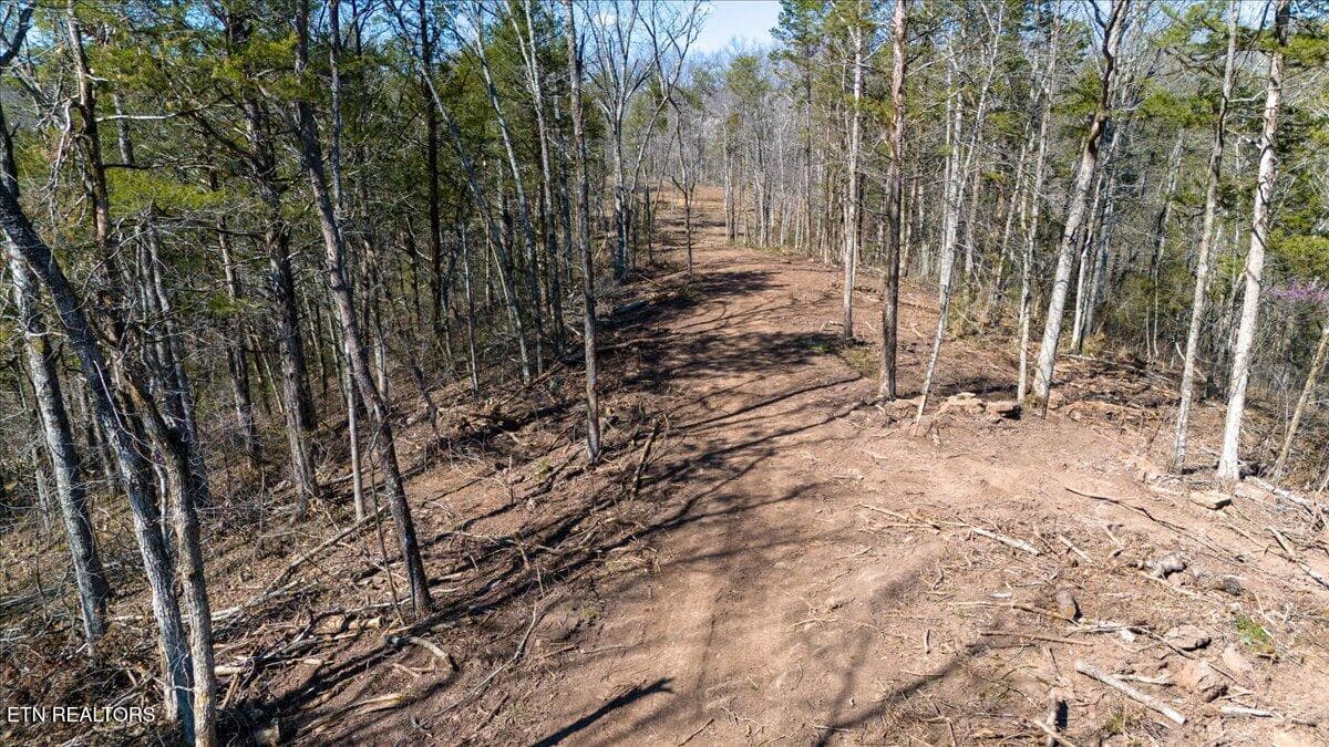 31-Clearing - Wolfenbarger Tract 1, Luttrell, TN 37779
