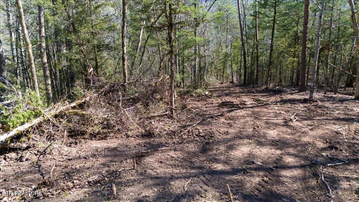 33-Clearing - Wolfenbarger Tract 1, Luttrell, TN 37779