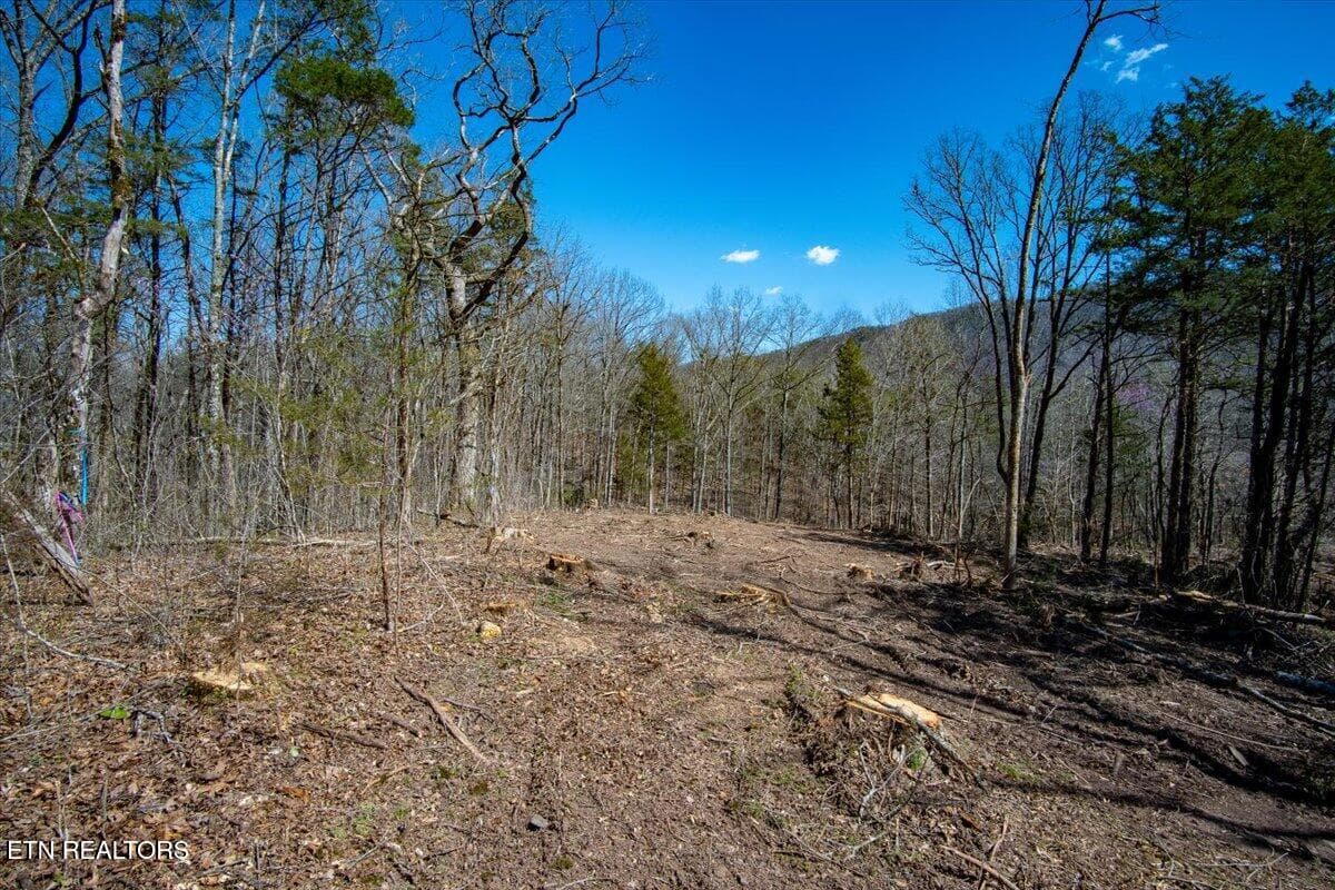 36-Clearing - Wolfenbarger Tract 1, Luttrell, TN 37779