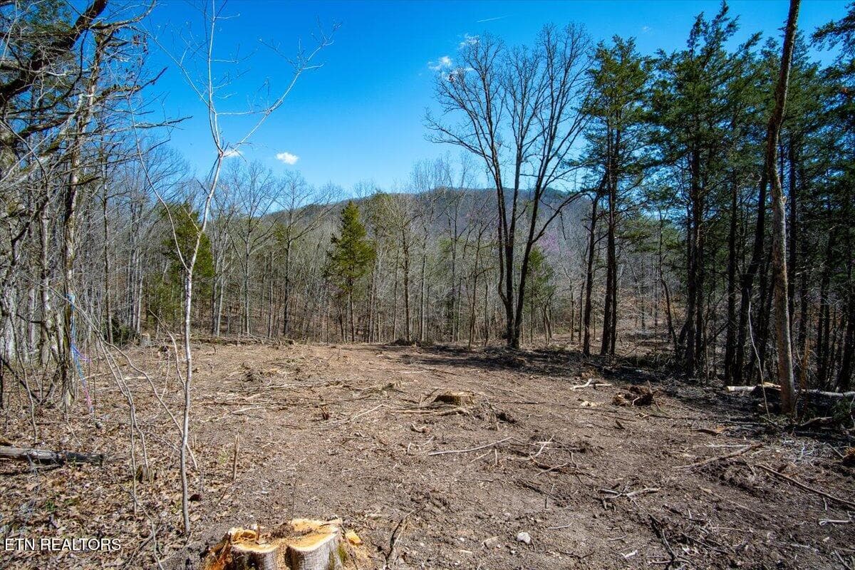 37-Clearing - Wolfenbarger Tract 1, Luttrell, TN 37779