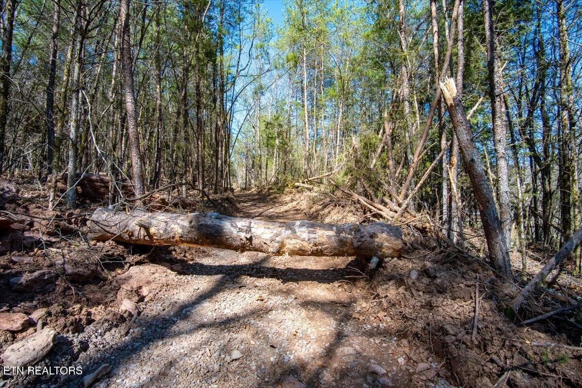 Tree to block 4 wheelers - Wolfenbarger Tract 1, Luttrell, TN 37779