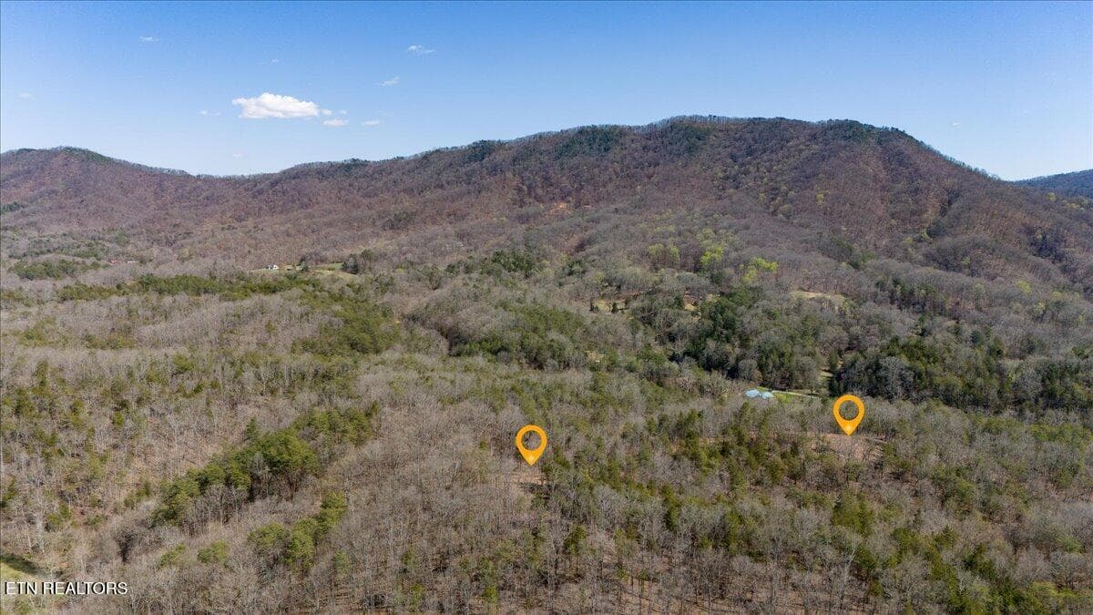 10-Aerial w_ Markers - Wolfenbarger Tract 1, Luttrell, TN 37779