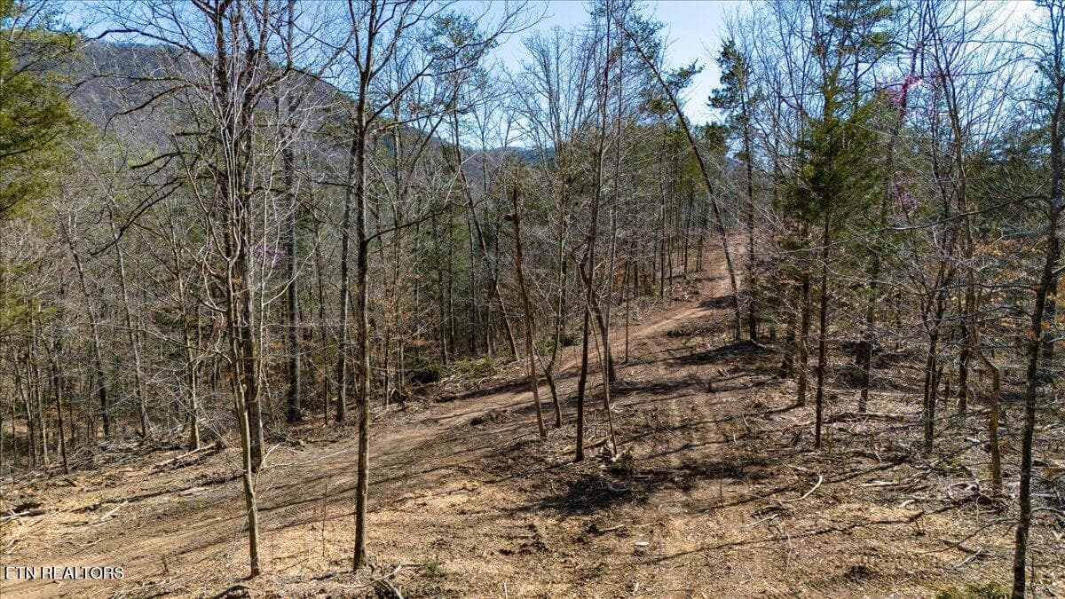 14-Clearing - Wolfenbarger Tract 1, Luttrell, TN 37779