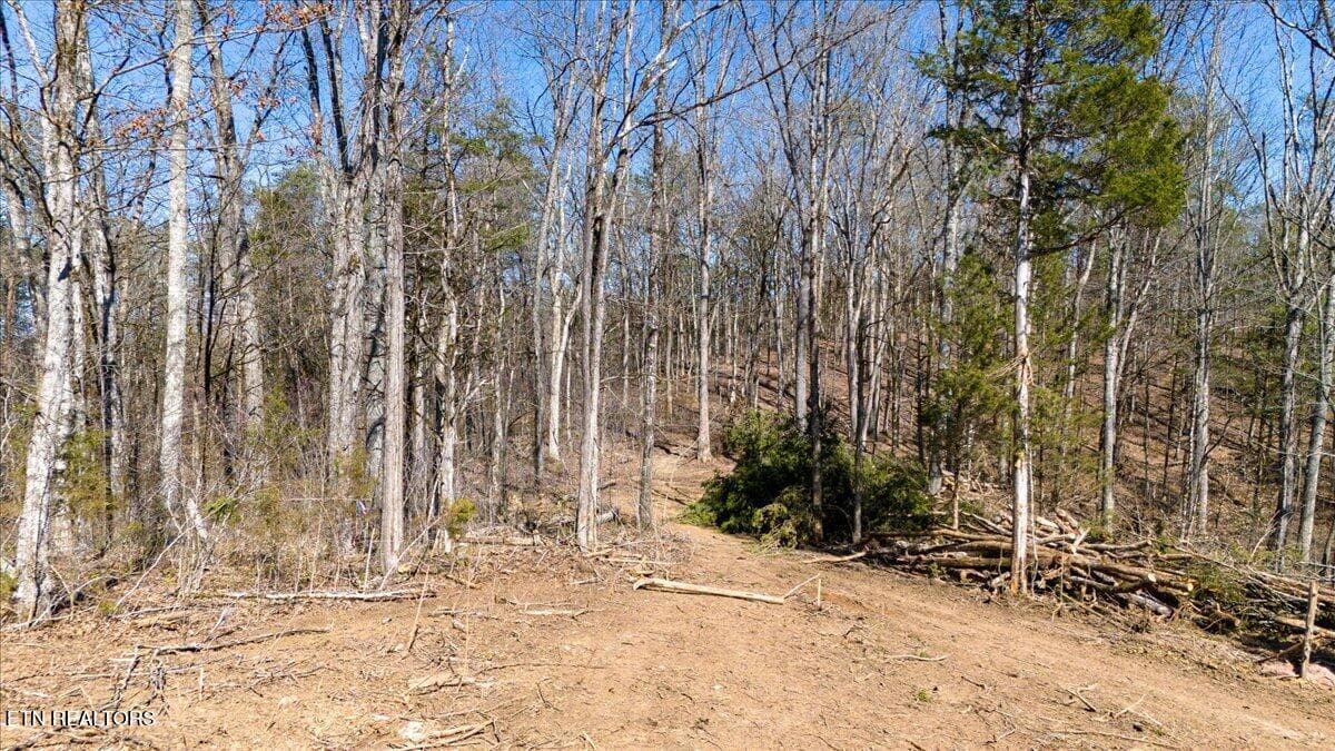 15-Clearing - Wolfenbarger Tract 1, Luttrell, TN 37779
