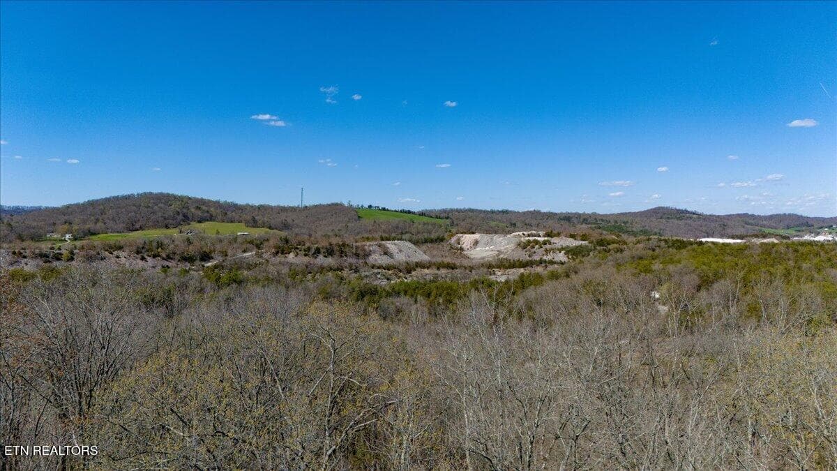 17-View Above 1st Clearing - Wolfenbarger Tract 1, Luttrell, TN 37779