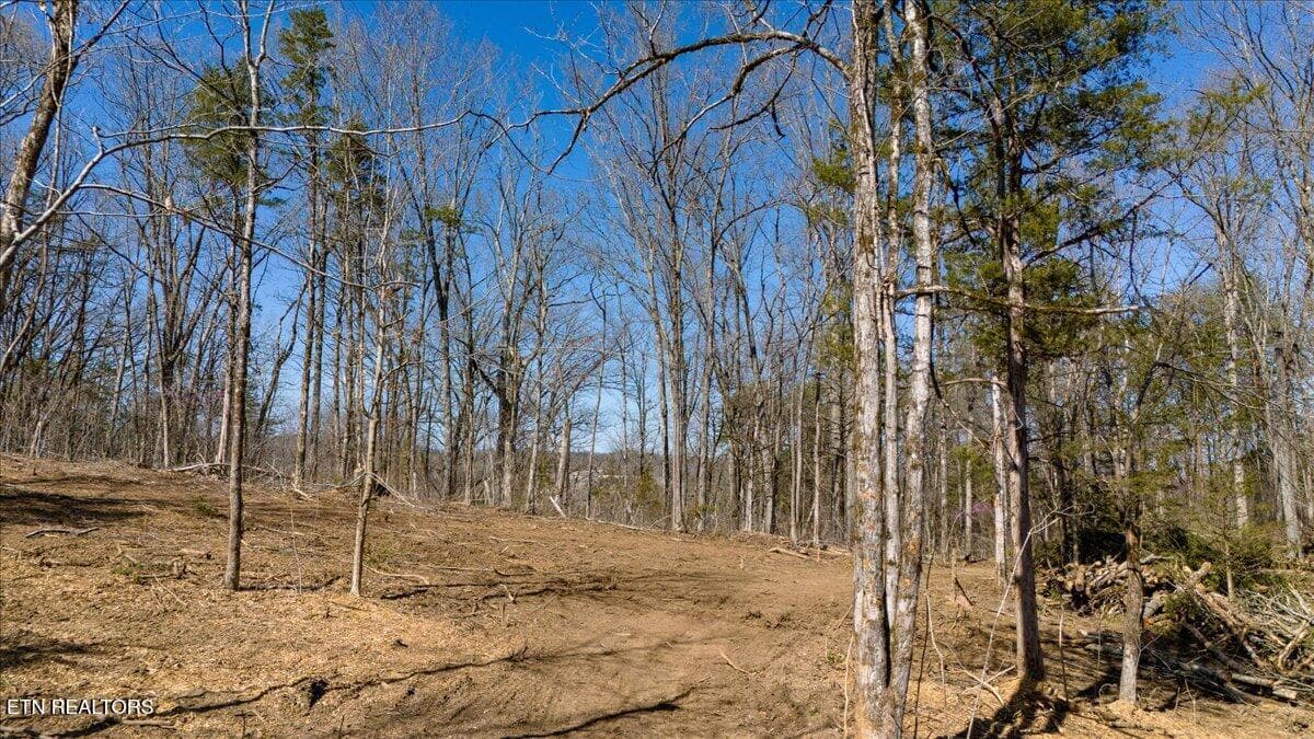 19-Clearing - Wolfenbarger Tract 1, Luttrell, TN 37779