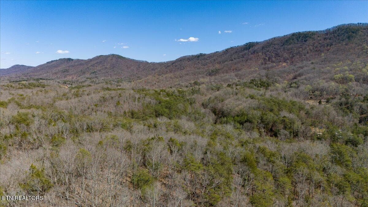02-View Above 2nd Clearing - Wolfenbarger Tract 1, Luttrell, TN 37779