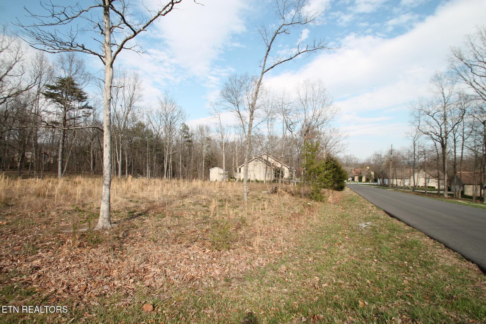 WALDEN RIDGE CIRCLE - 12 Walden Ridge Circle, Fairfield Glade, TN 38558