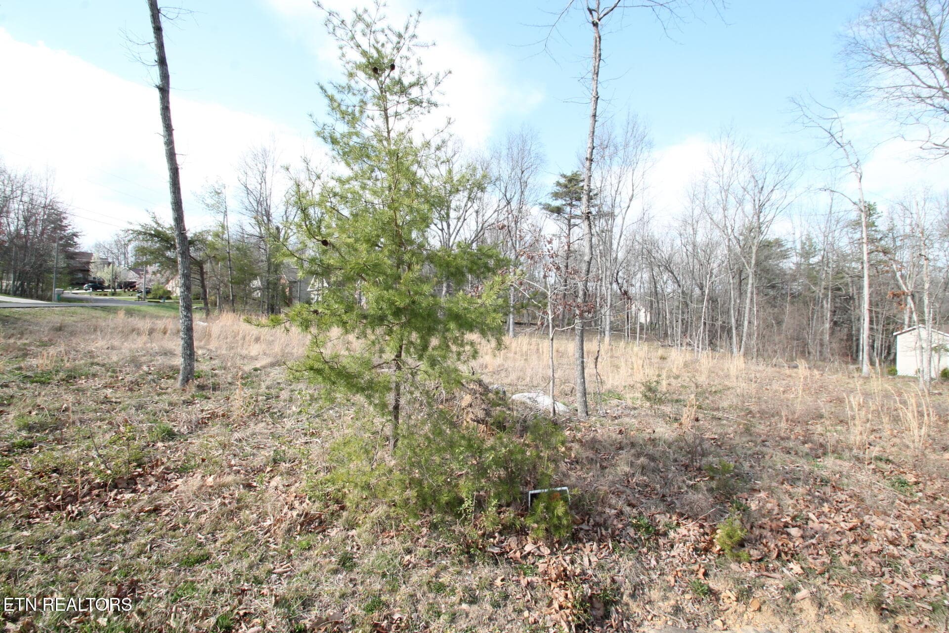 COME AND MAKE THIS YOUR HOME - 12 Walden Ridge Circle, Fairfield Glade, TN 38558