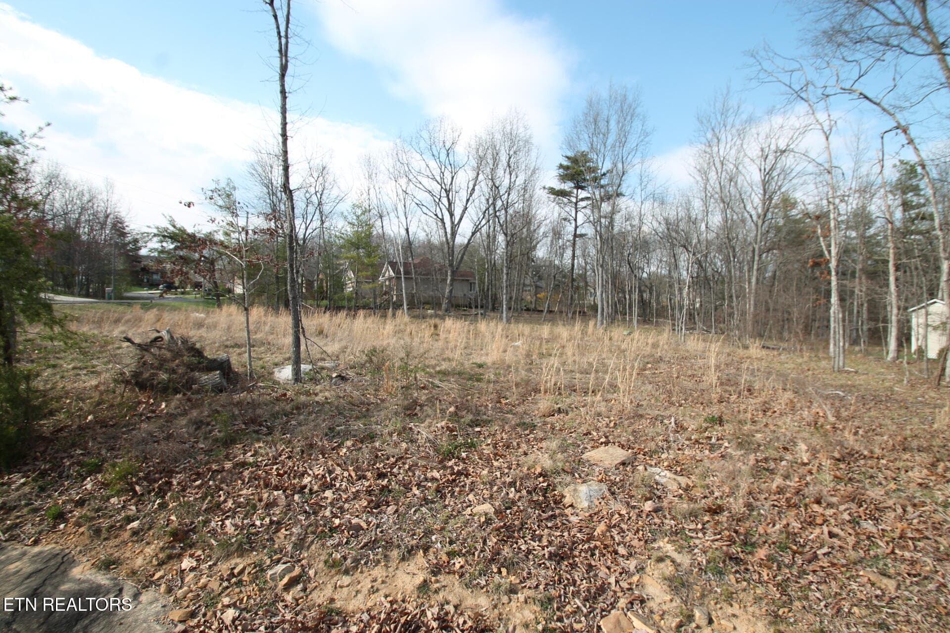 BLANK PALETTE FOR YOU TO CREATE - 12 Walden Ridge Circle, Fairfield Glade, TN 38558