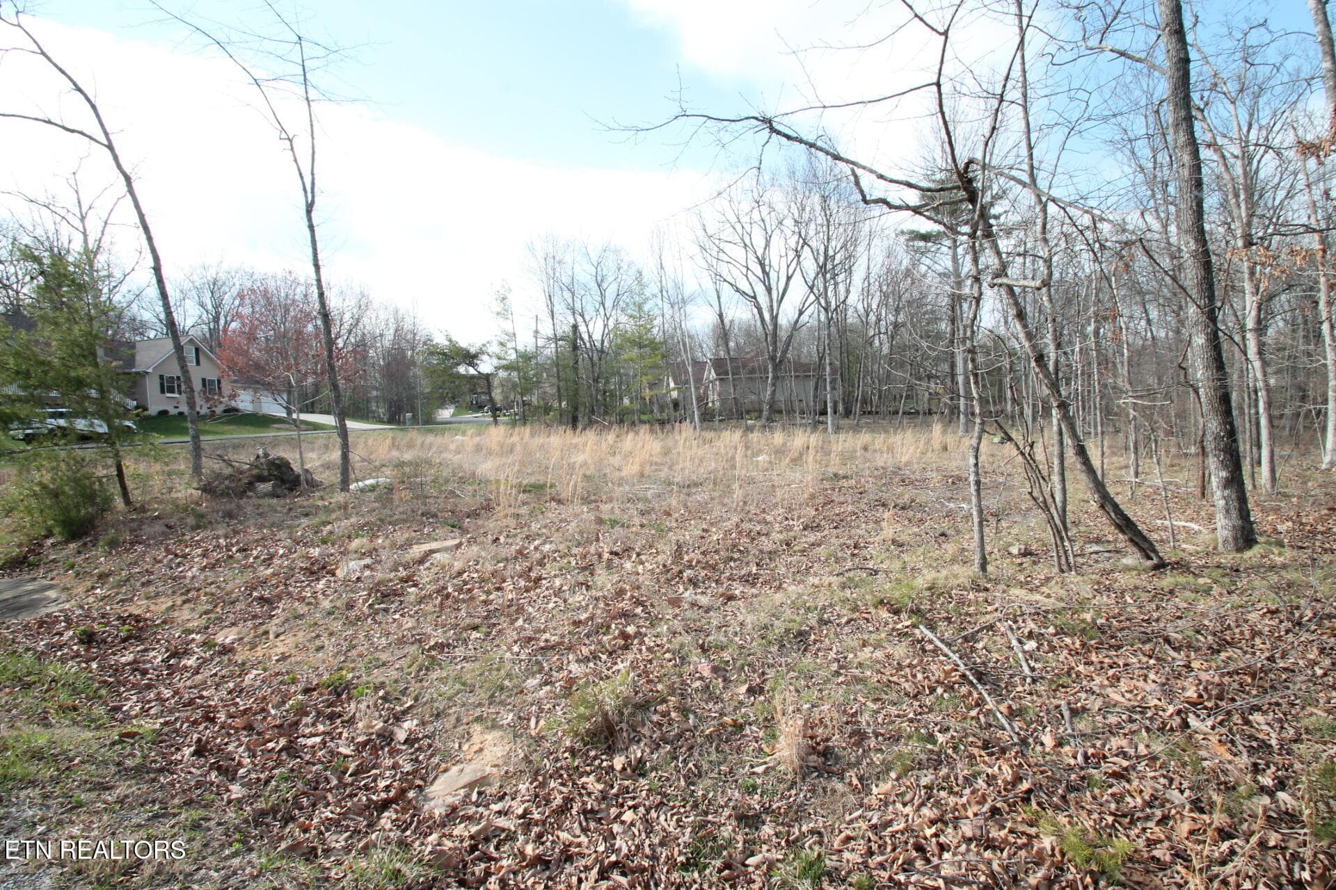 YOUR HOME AWAITS - 12 Walden Ridge Circle, Fairfield Glade, TN 38558