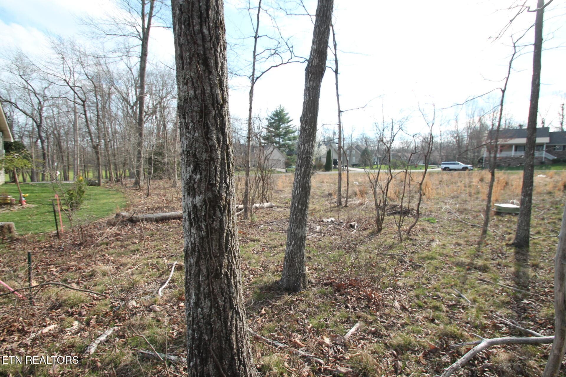 VIEW FROM CORNER - 12 Walden Ridge Circle, Fairfield Glade, TN 38558