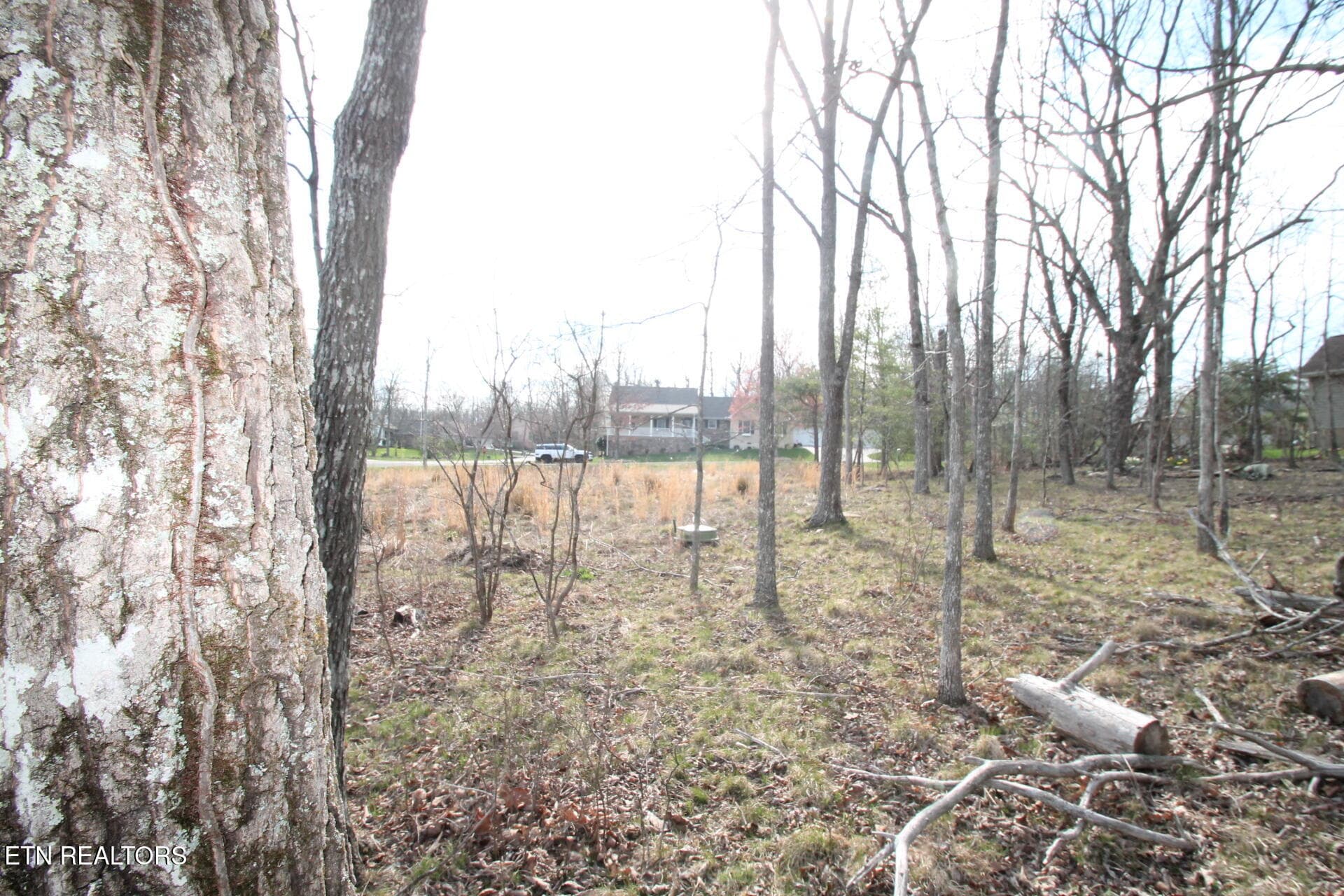 OPEN LEVEL LOT - 12 Walden Ridge Circle, Fairfield Glade, TN 38558
