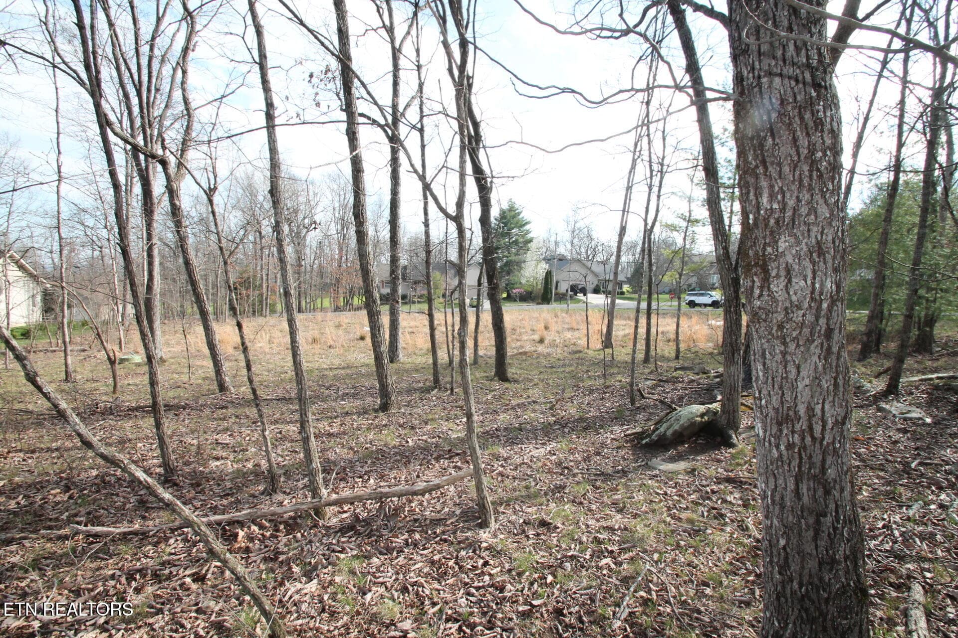 SMALL WOODED AREA - 12 Walden Ridge Circle, Fairfield Glade, TN 38558