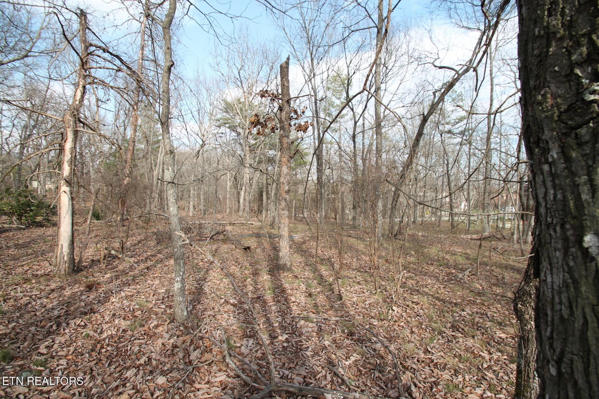 LEVEL AND CLEARED LOT - 12 Walden Ridge Circle, Fairfield Glade, TN 38558