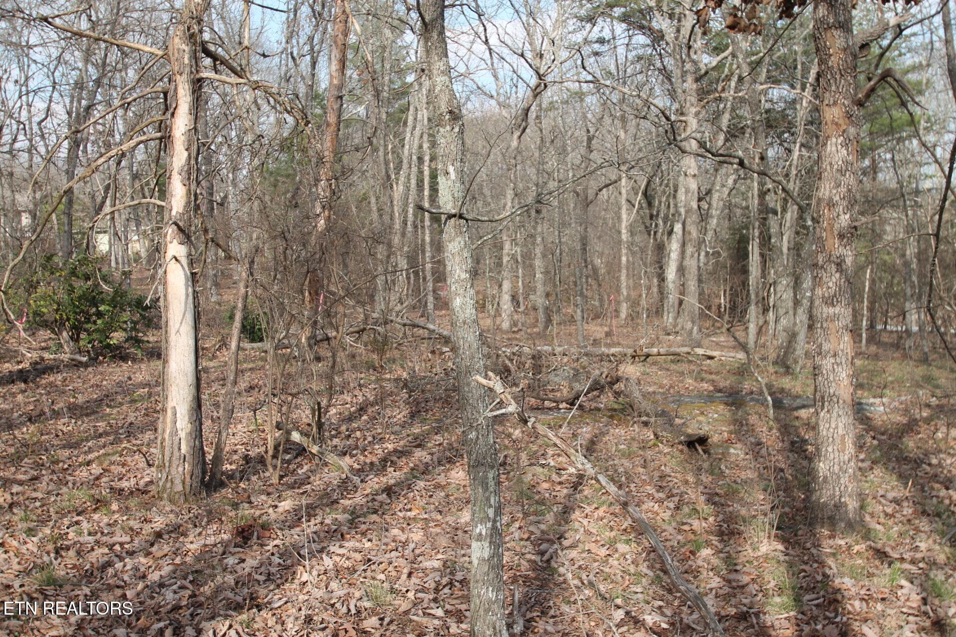 .57 ACRE - 12 Walden Ridge Circle, Fairfield Glade, TN 38558