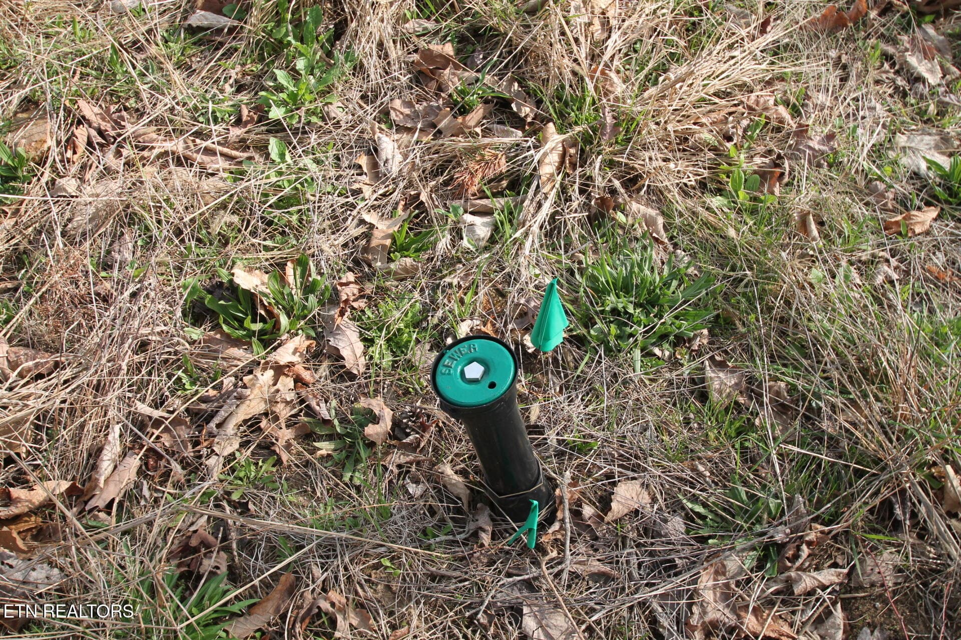 Water - 12 Walden Ridge Circle, Fairfield Glade, TN 38558