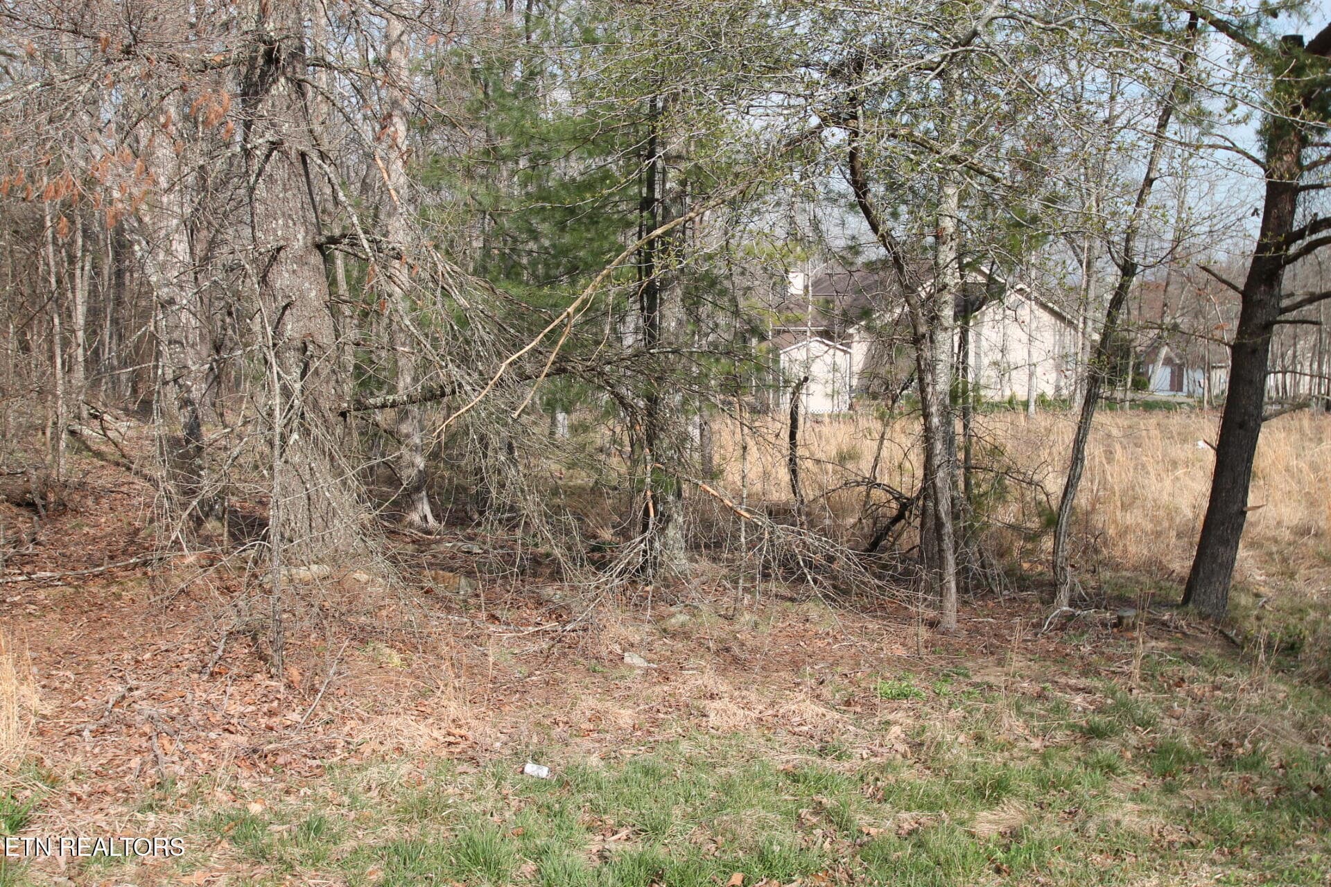 WOODED BACK CORNER - 12 Walden Ridge Circle, Fairfield Glade, TN 38558