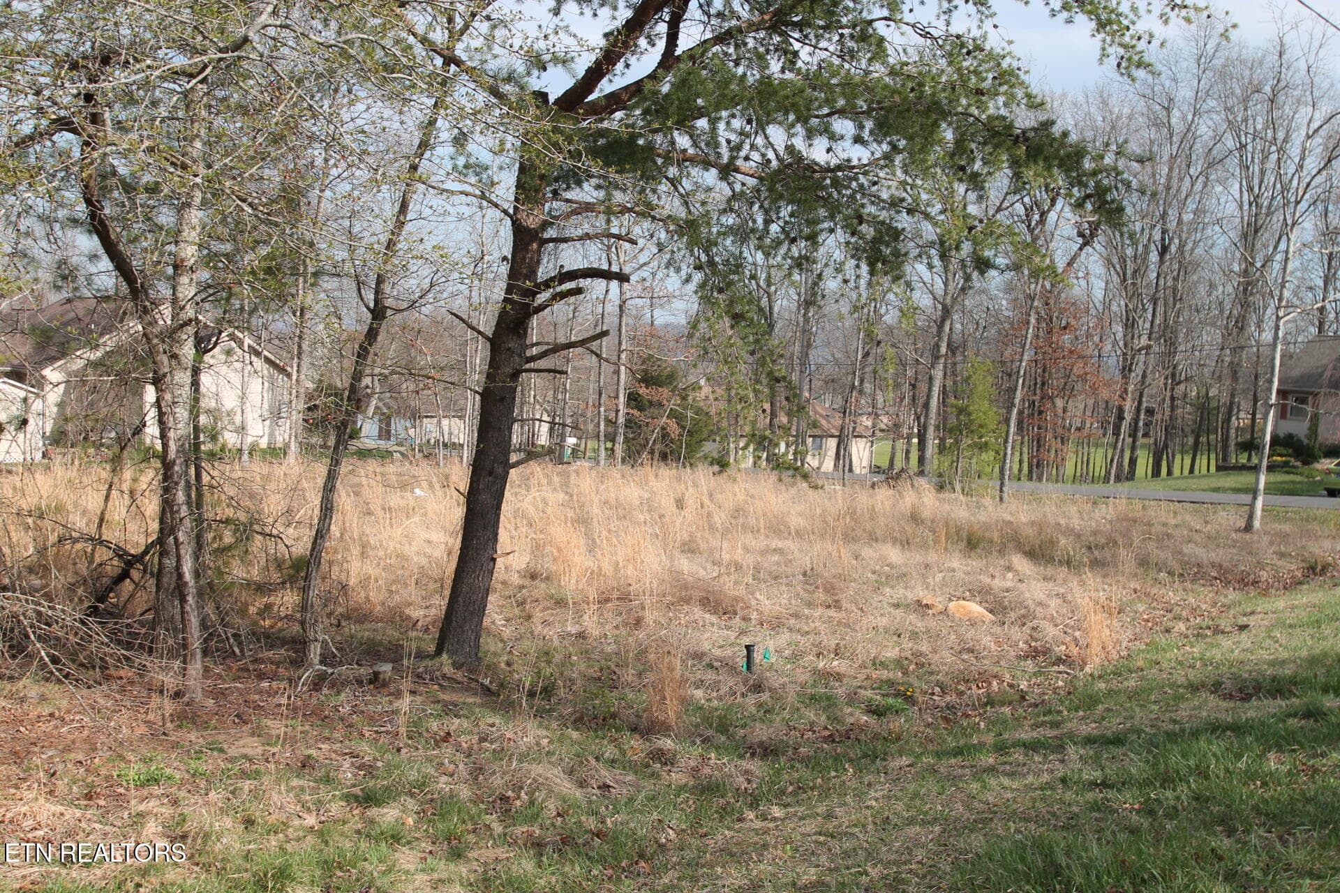LARGE LEVEL LOT - 12 Walden Ridge Circle, Fairfield Glade, TN 38558