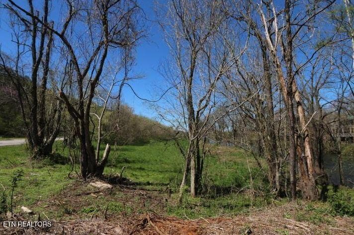 kbk photo 1 - 2 Cherohala Skyway, Tellico Plains, TN 37385