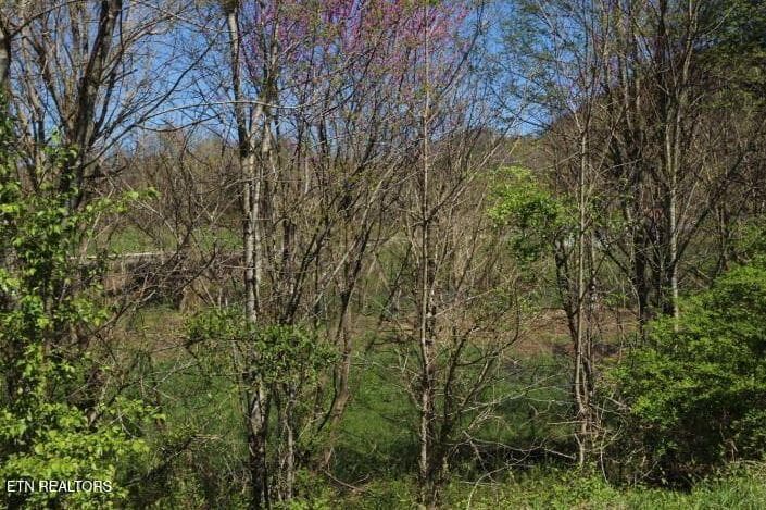 kbk photo 7 - 2 Cherohala Skyway, Tellico Plains, TN 37385
