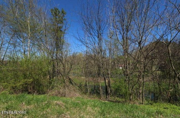 kbk photo 9 - 2 Cherohala Skyway, Tellico Plains, TN 37385