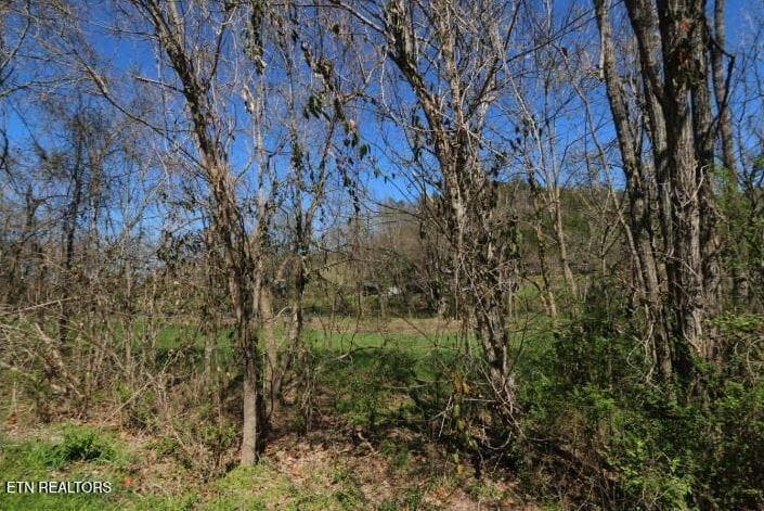 kbk photo 10 - 2 Cherohala Skyway, Tellico Plains, TN 37385