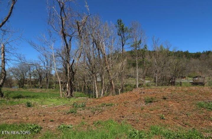 kbk photo 13 - 2 Cherohala Skyway, Tellico Plains, TN 37385