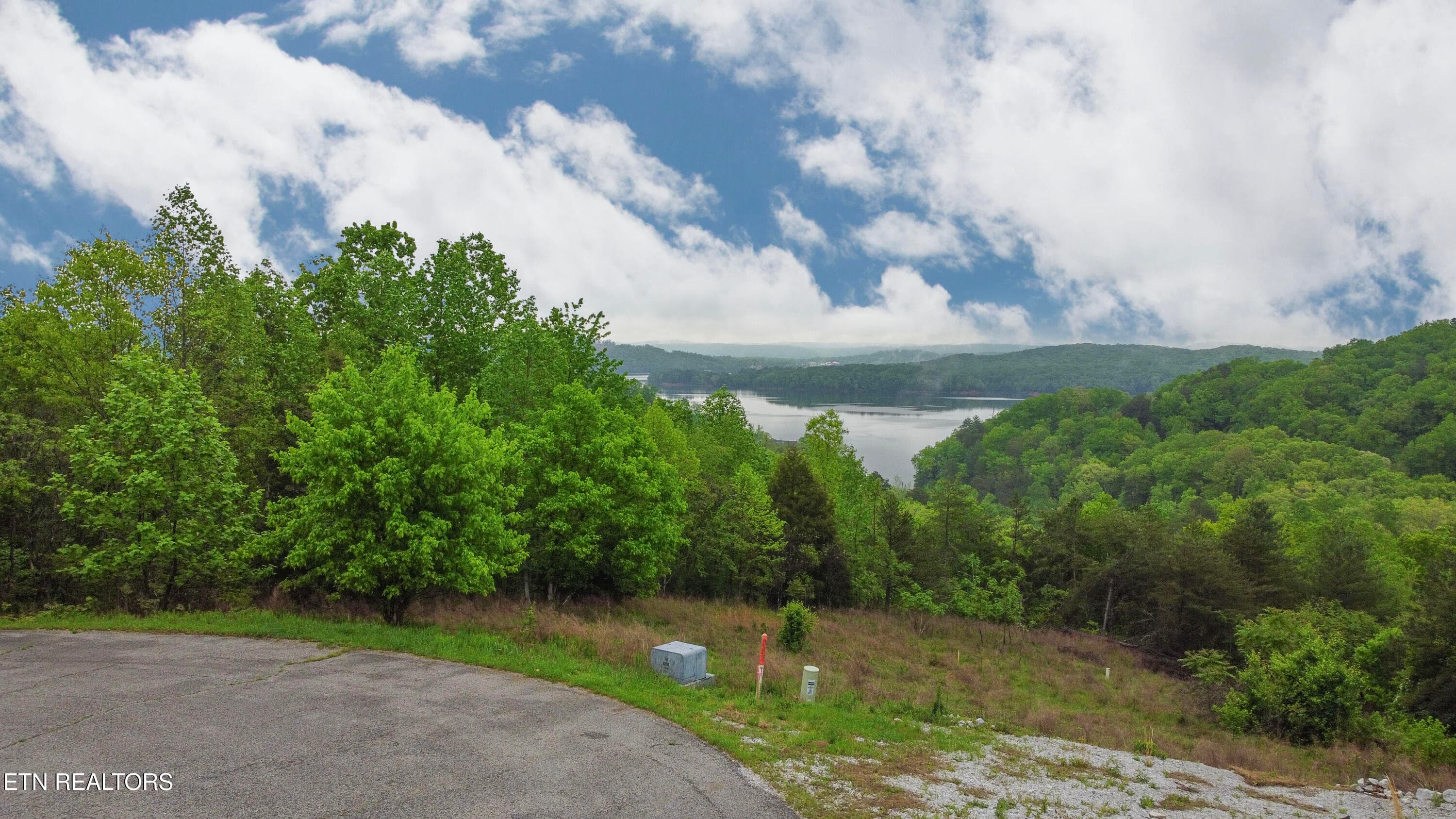 ground 1 - Lot 406 Flint Ridge Rd, Rockwood, TN 37854