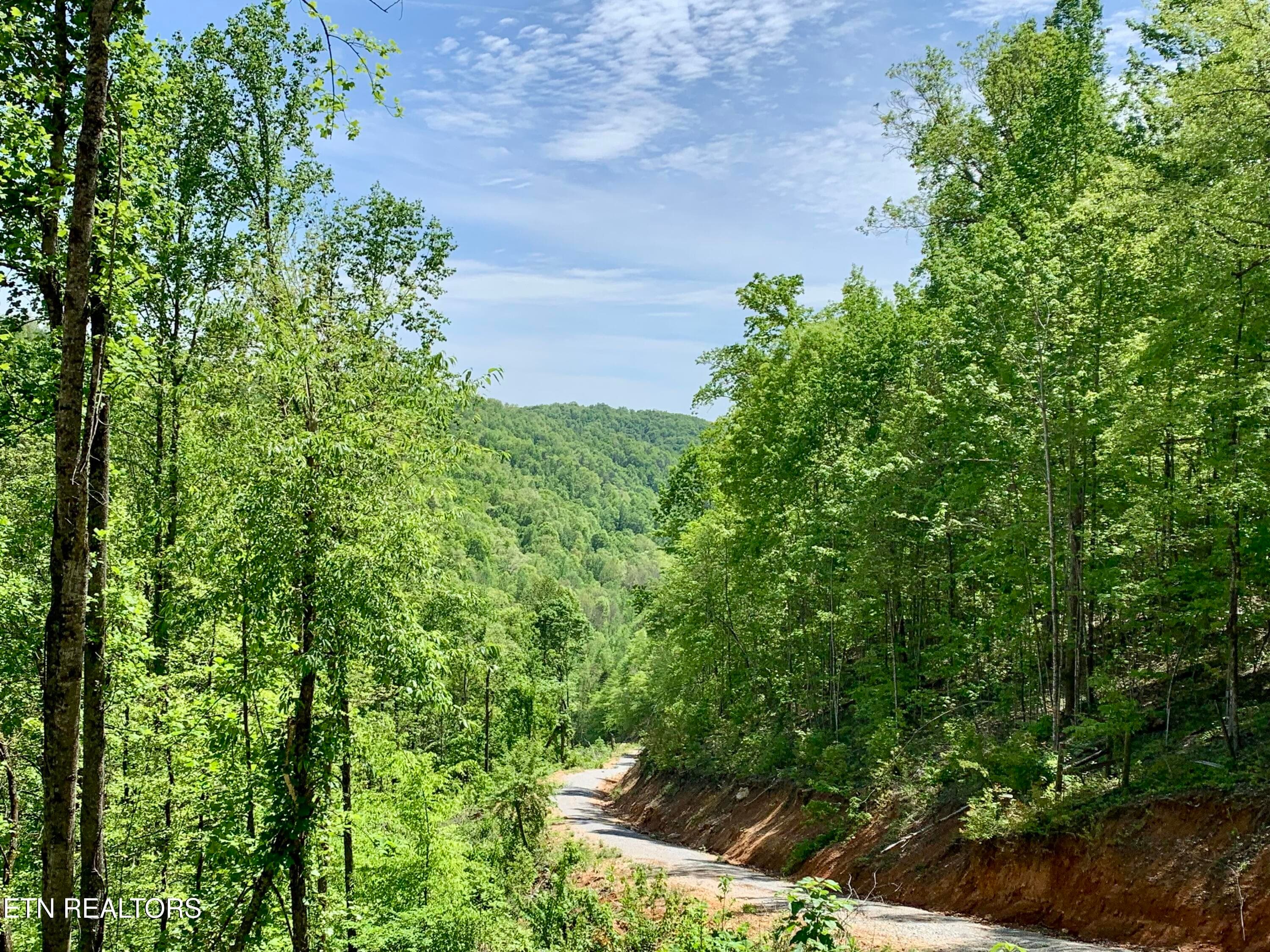 IMG_0054 - 1088 Jones Ridge Rd, Speedwell, TN 37870