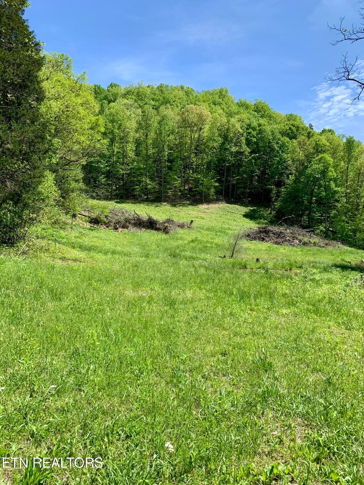 IMG_0060 - 1088 Jones Ridge Rd, Speedwell, TN 37870