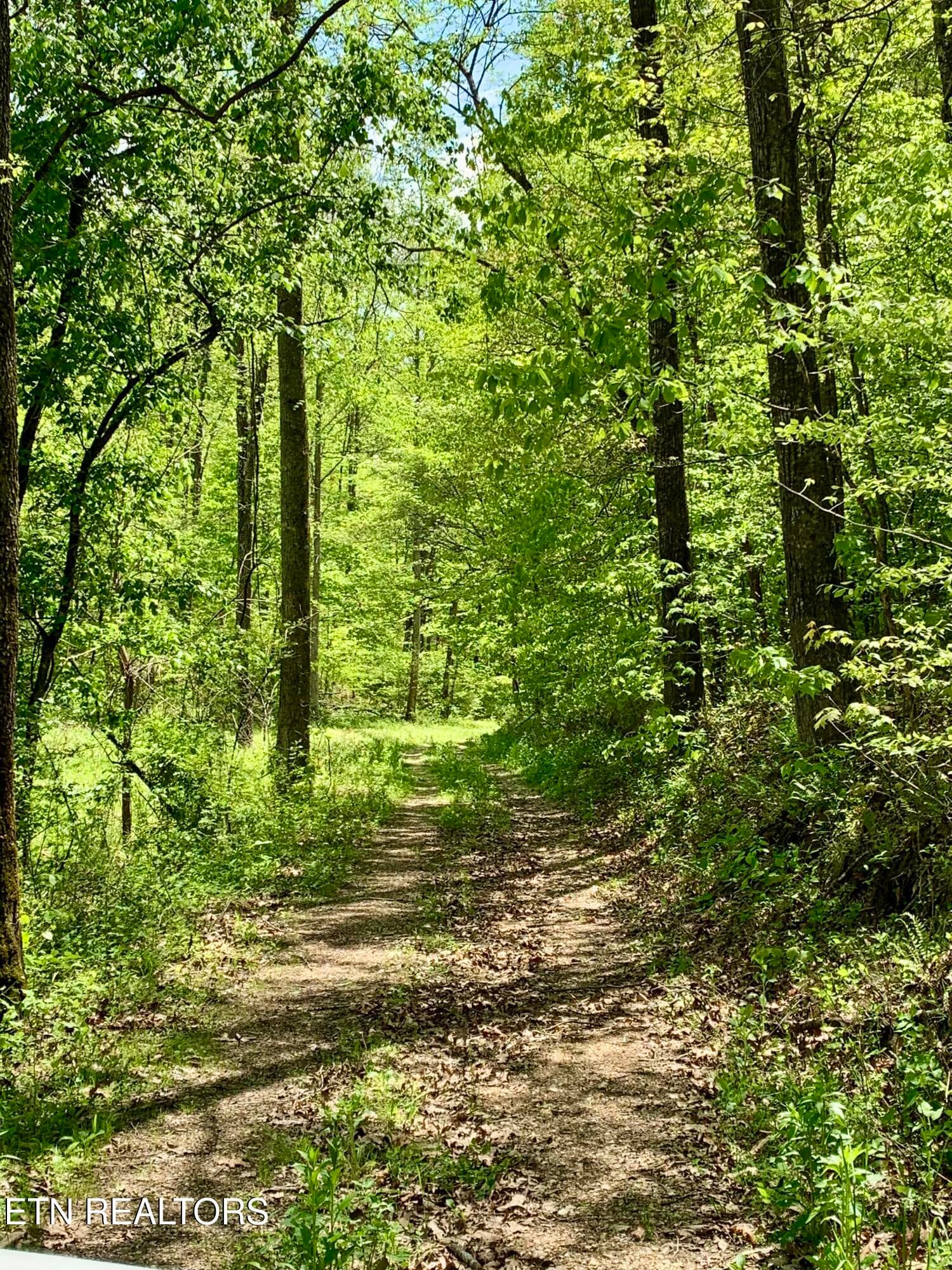 IMG_0066 - 1088 Jones Ridge Rd, Speedwell, TN 37870