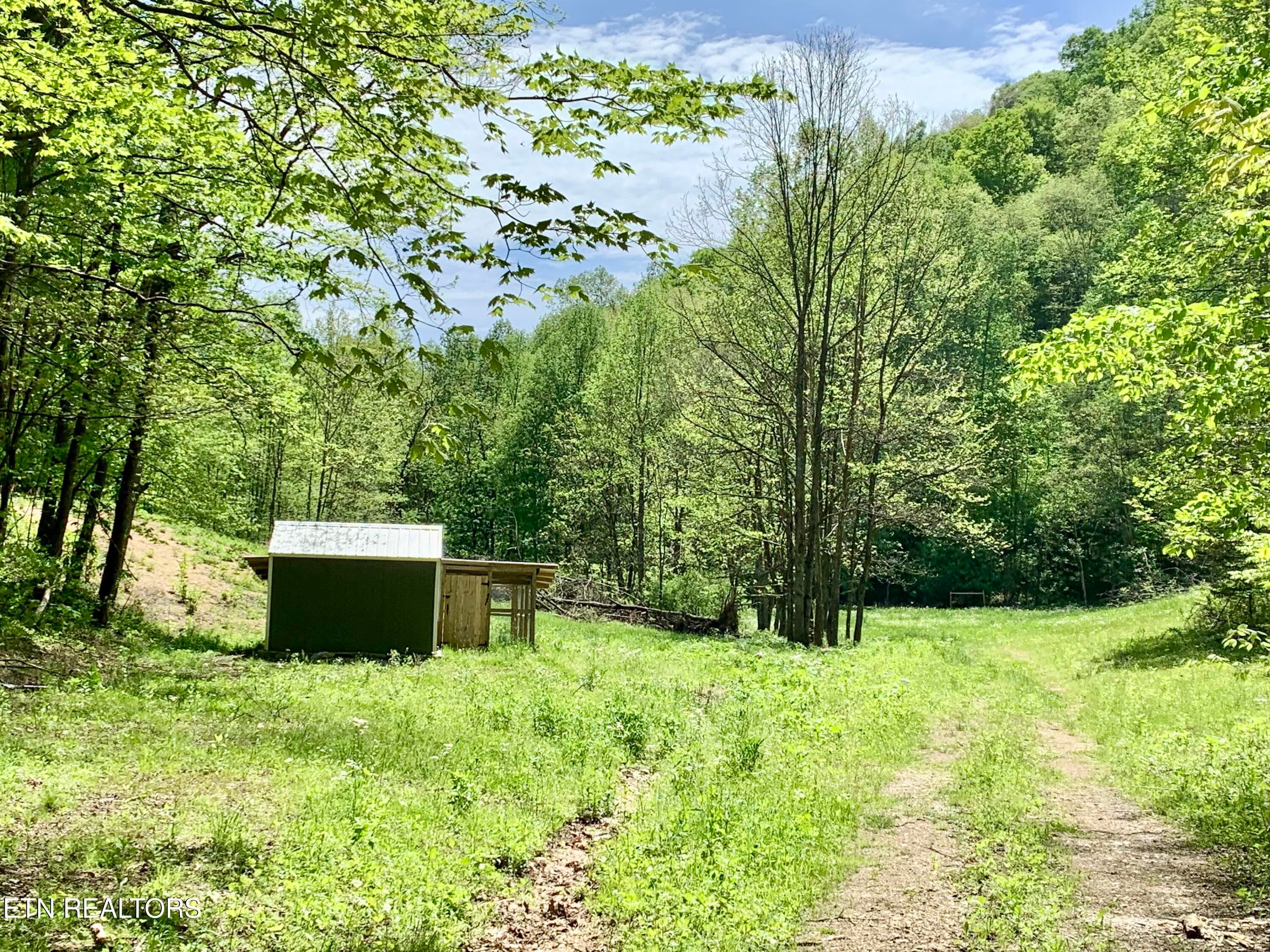 IMG_0068 - 1088 Jones Ridge Rd, Speedwell, TN 37870