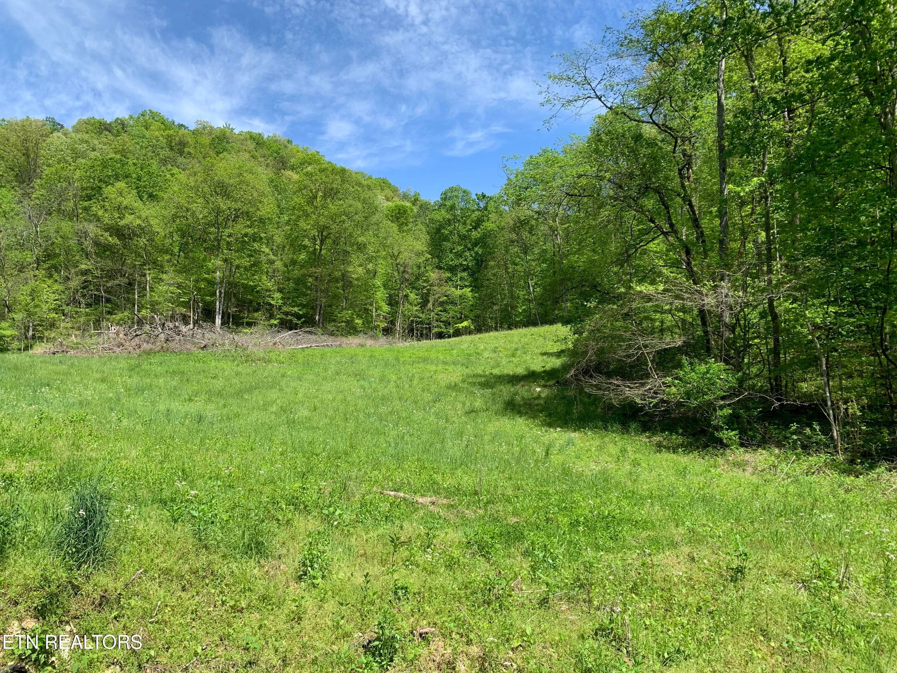 IMG_0087 - 1088 Jones Ridge Rd, Speedwell, TN 37870
