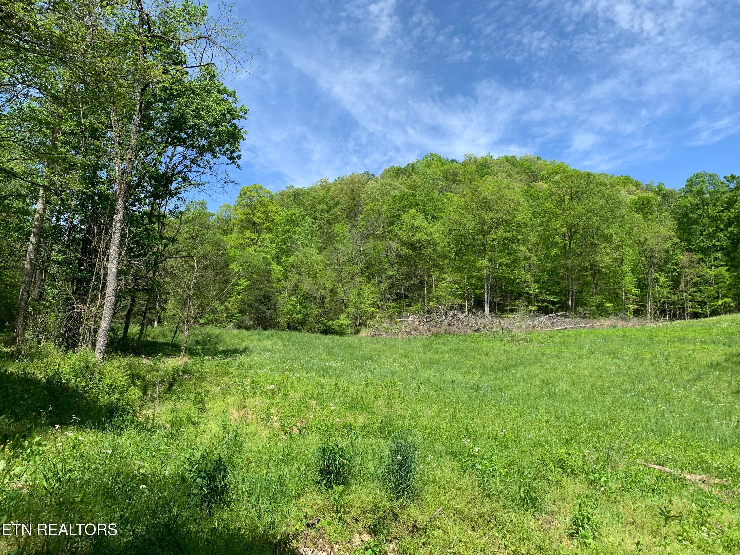 IMG_0088 - 1088 Jones Ridge Rd, Speedwell, TN 37870
