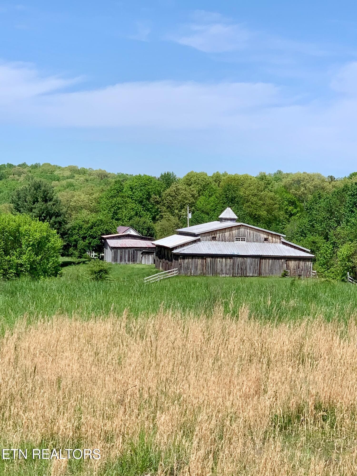 2 - 1088 Jones Ridge Rd, Speedwell, TN 37870