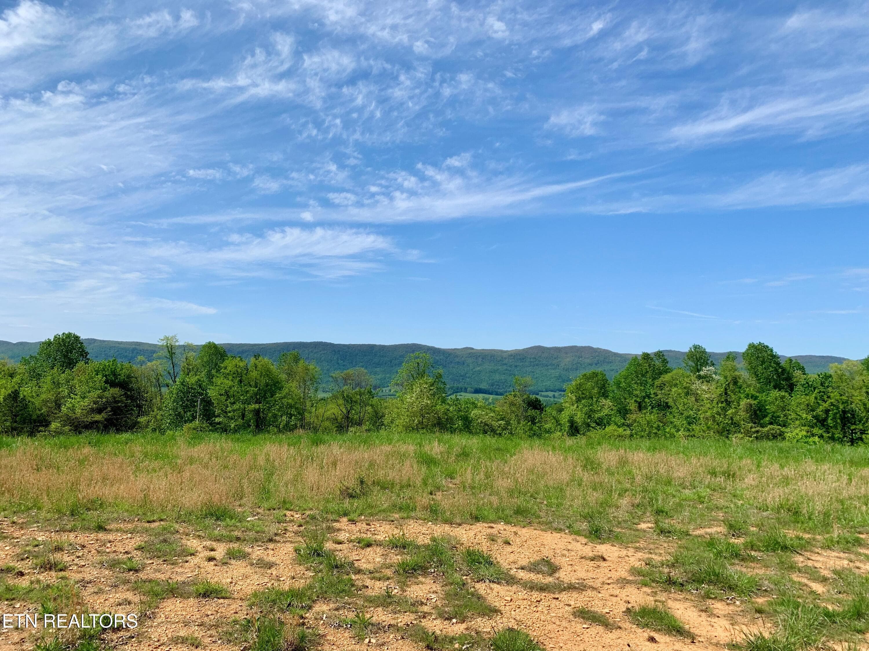 4 - 1088 Jones Ridge Rd, Speedwell, TN 37870