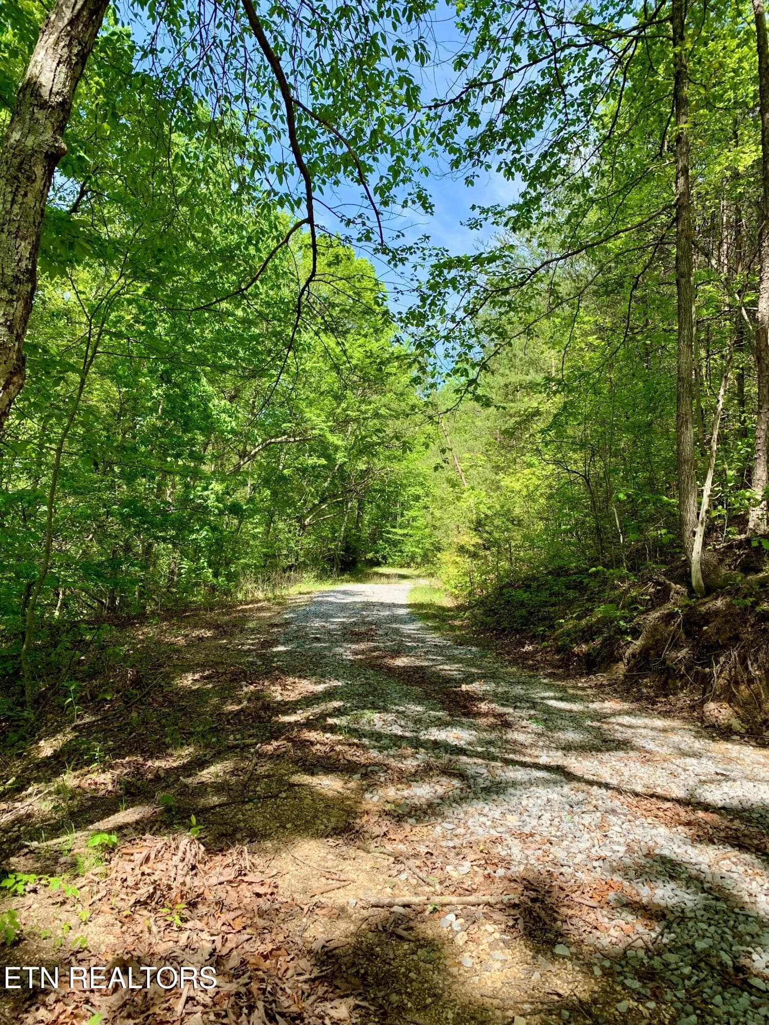 6 - 1088 Jones Ridge Rd, Speedwell, TN 37870