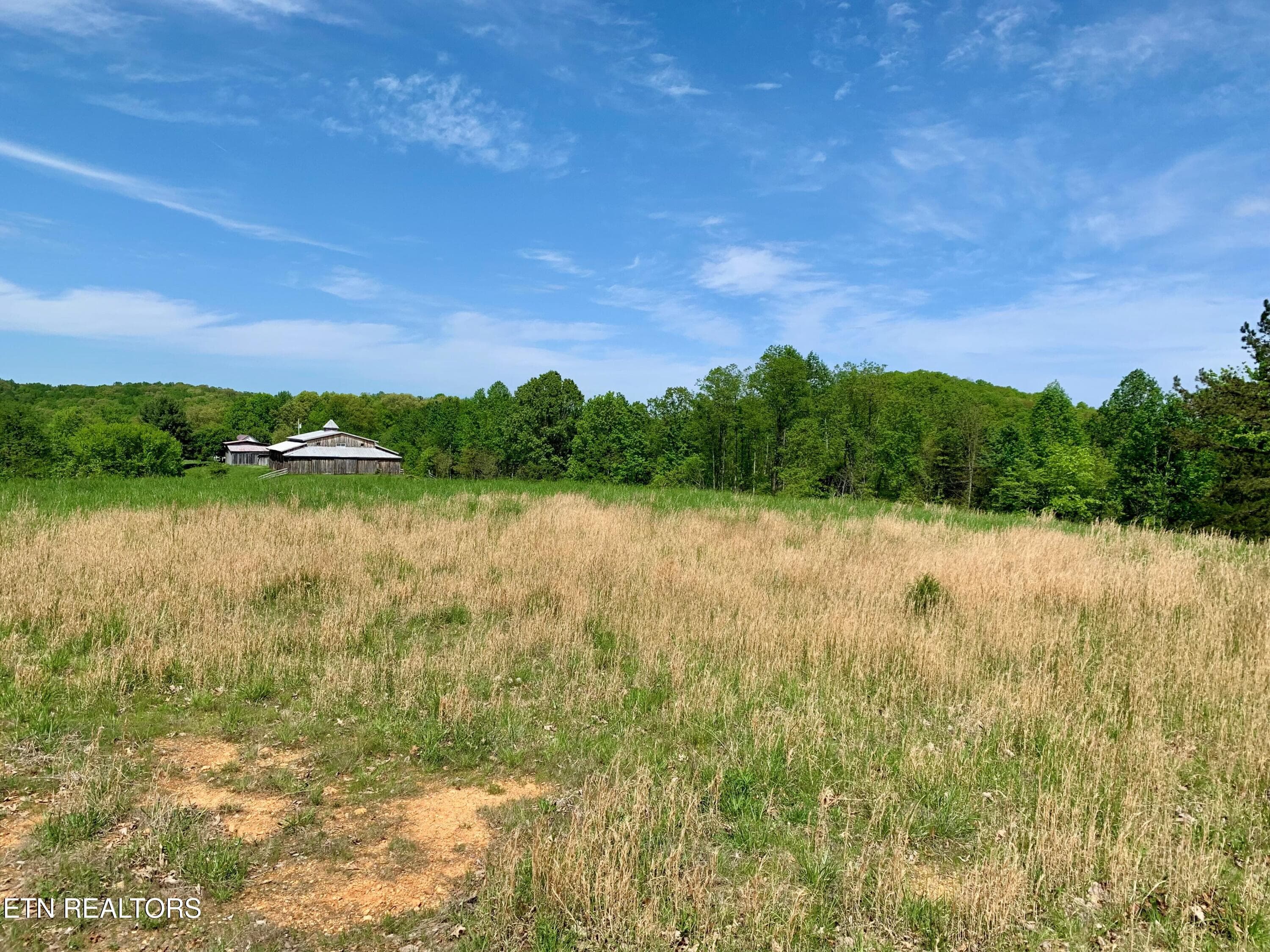 5 - 1088 Jones Ridge Rd, Speedwell, TN 37870