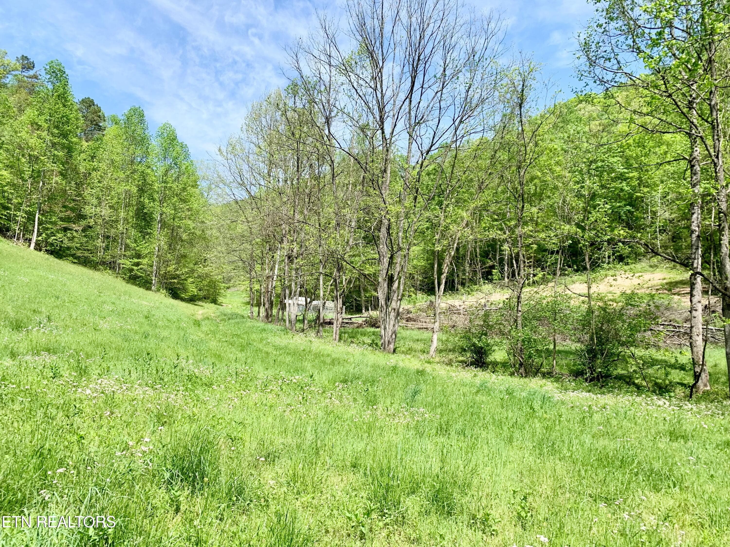 10 - 1088 Jones Ridge Rd, Speedwell, TN 37870