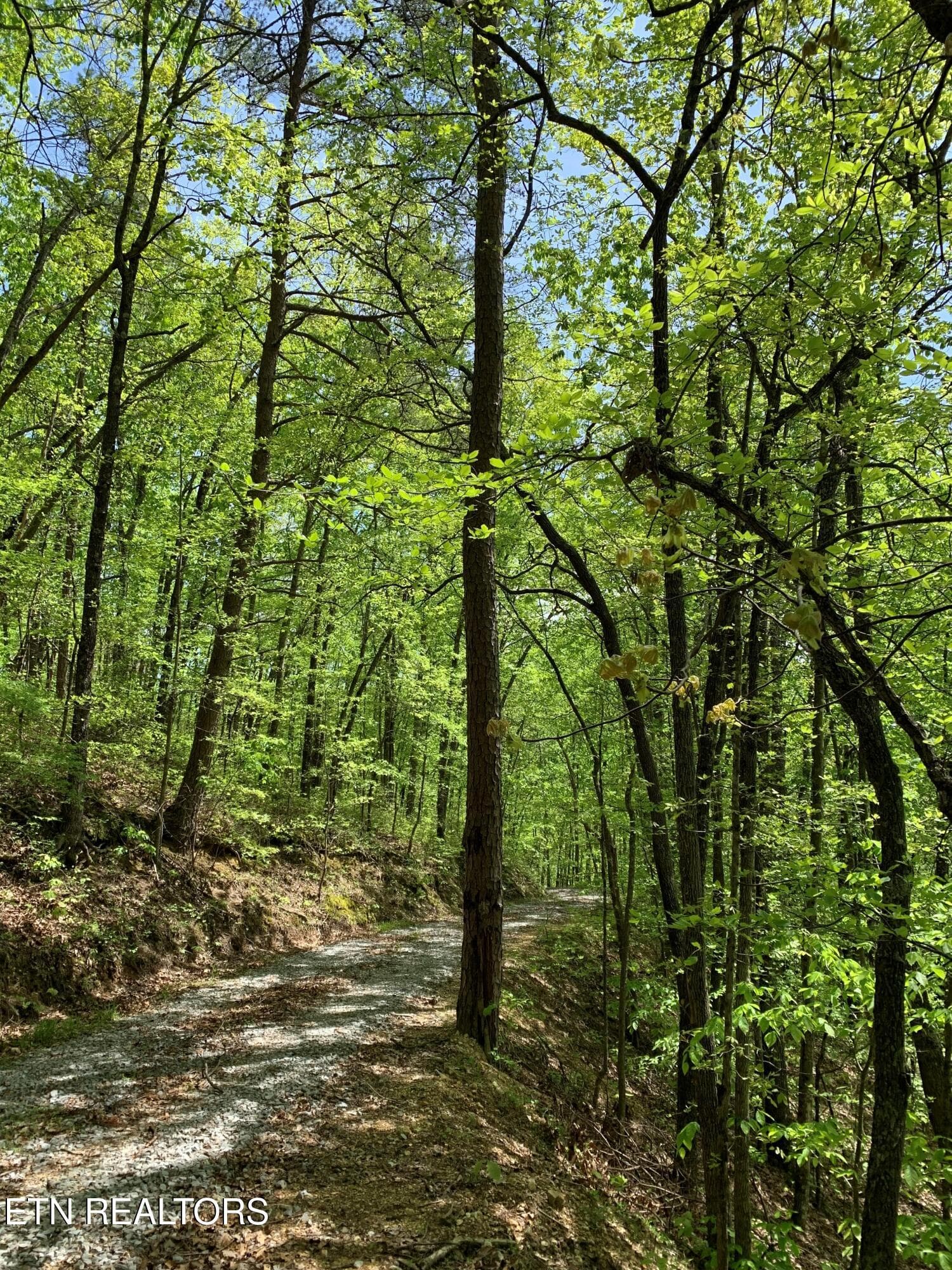 11 - 1088 Jones Ridge Rd, Speedwell, TN 37870