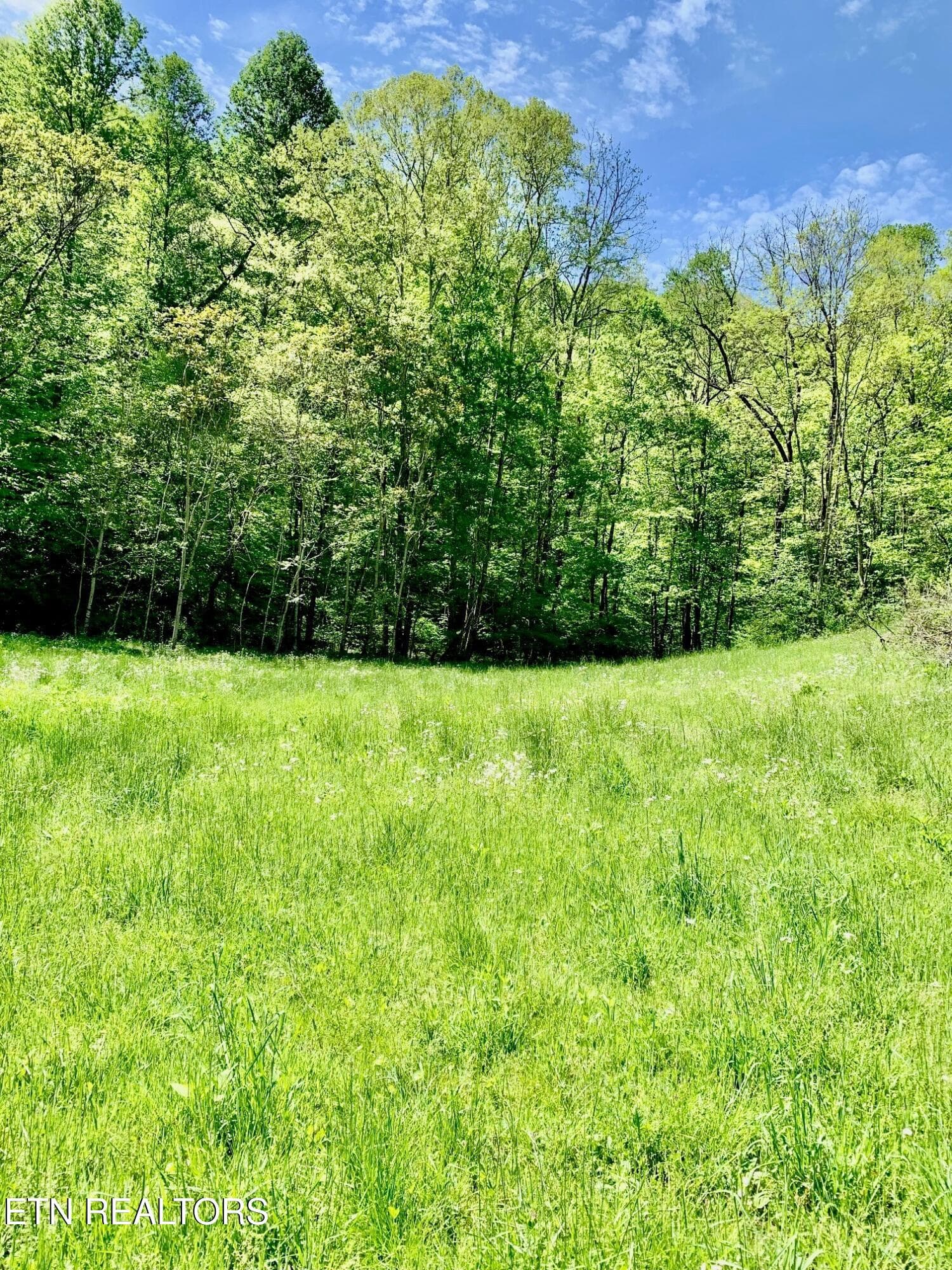 12 - 1088 Jones Ridge Rd, Speedwell, TN 37870