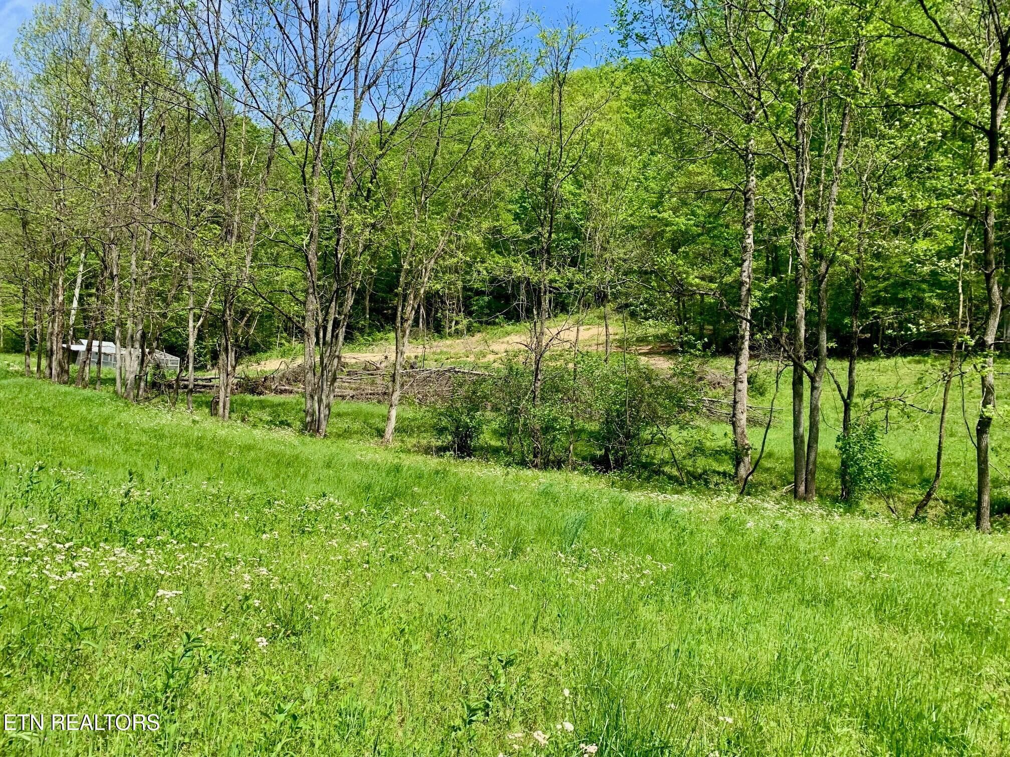 13 - 1088 Jones Ridge Rd, Speedwell, TN 37870