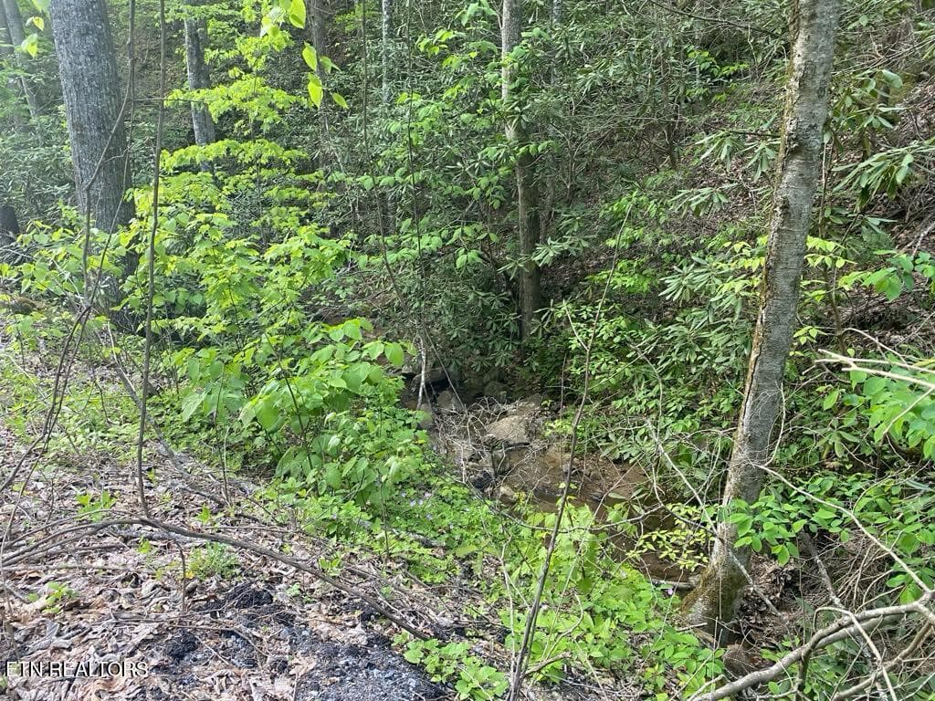 0ba8aef7-8b37-4253-b621-2a0613787a50 - Lot 26 Alpine Drive, Sevierville, TN 37876