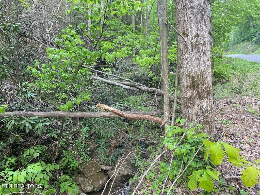 04c43f77-dc85-47e5-a5ac-00185b8efdf3 - Lot 26 Alpine Drive, Sevierville, TN 37876